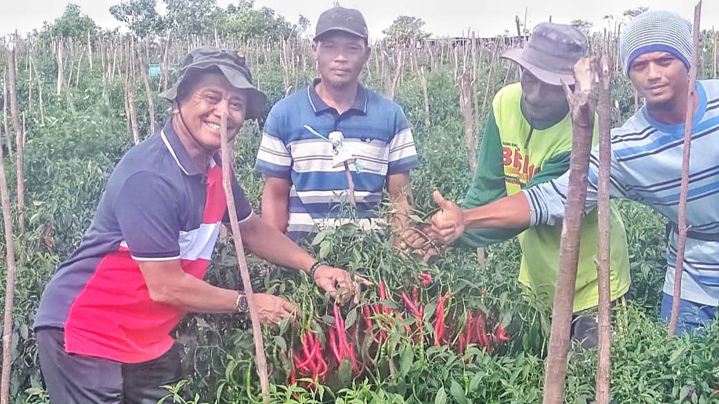 Wakil Bupati Bintan, Dalmasri Syam melihat hasil pertanian yang dikelola petani dari kaum milenial