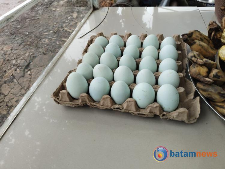 Telur Asin, Warisan Kuliner Tradisional yang Tetap Bertahan di Era Modern