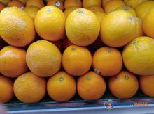 Jeruk, Buah Kaya Vitamin C yang Menyegarkan dan Menyehatkan